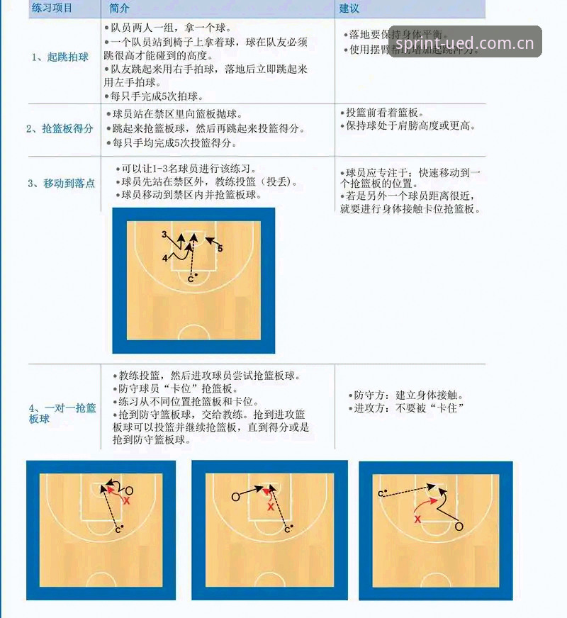 UED体育平台实用操作指南：新手必备安全与使用知识